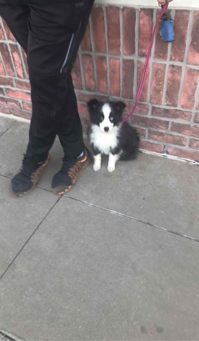 Littleton Scavenger Hunt Team Photo